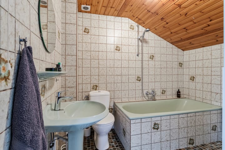 Foto 45 van Smidshorn 13