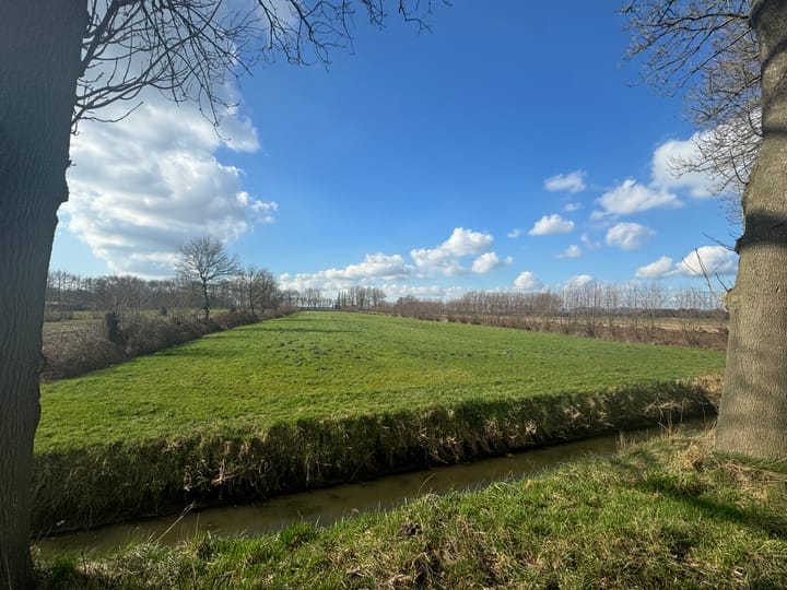 Photo 1 of Wielstraat