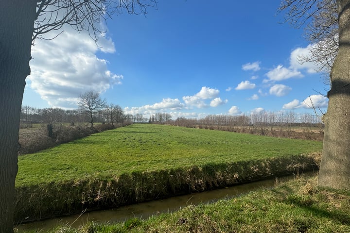 Photo 1 of Wielstraat