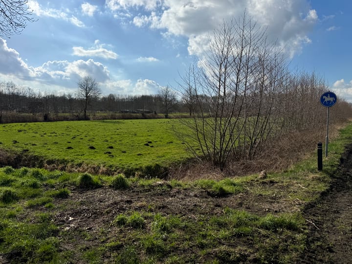 Foto 2 van Wielstraat