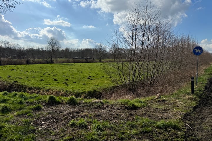 Photo 2 of Wielstraat