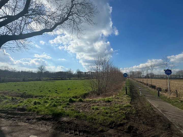 Foto 3 van Wielstraat