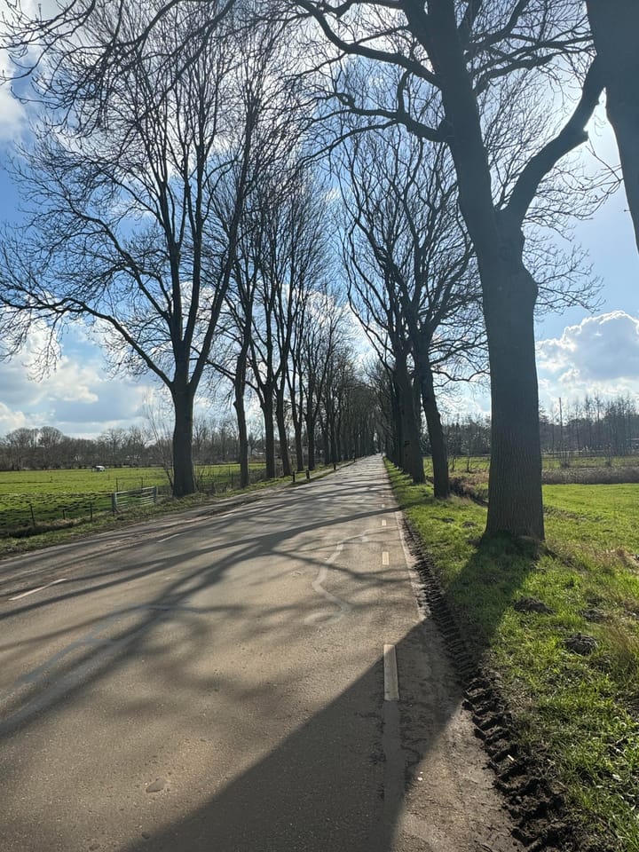 Foto 4 van Wielstraat