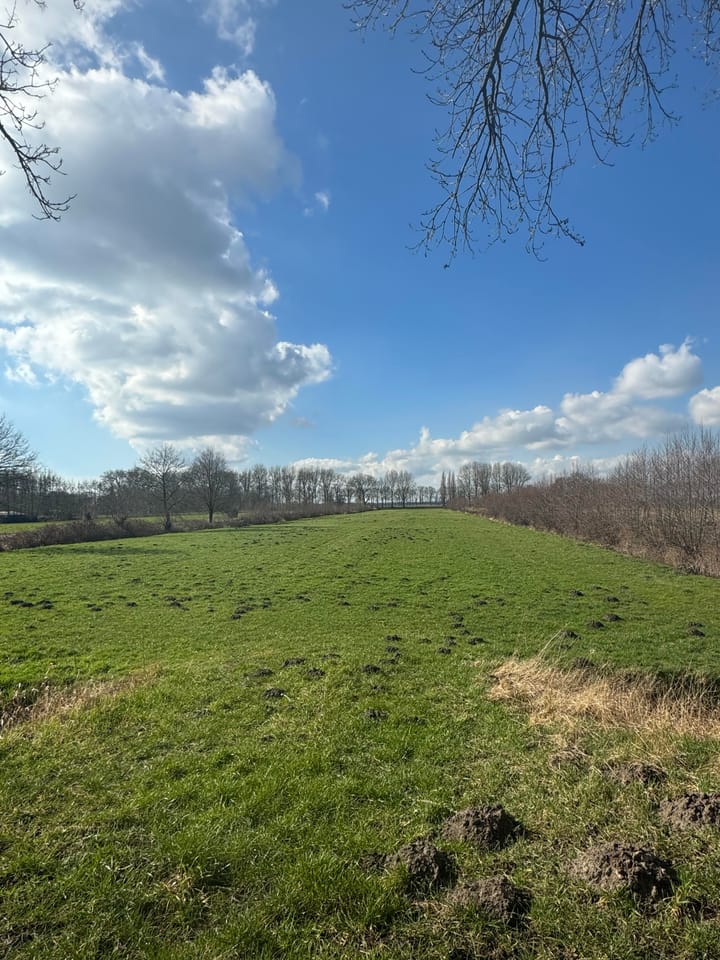 Foto 5 van Wielstraat