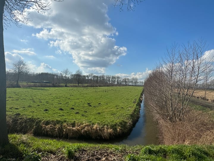 Photo 6 of Wielstraat