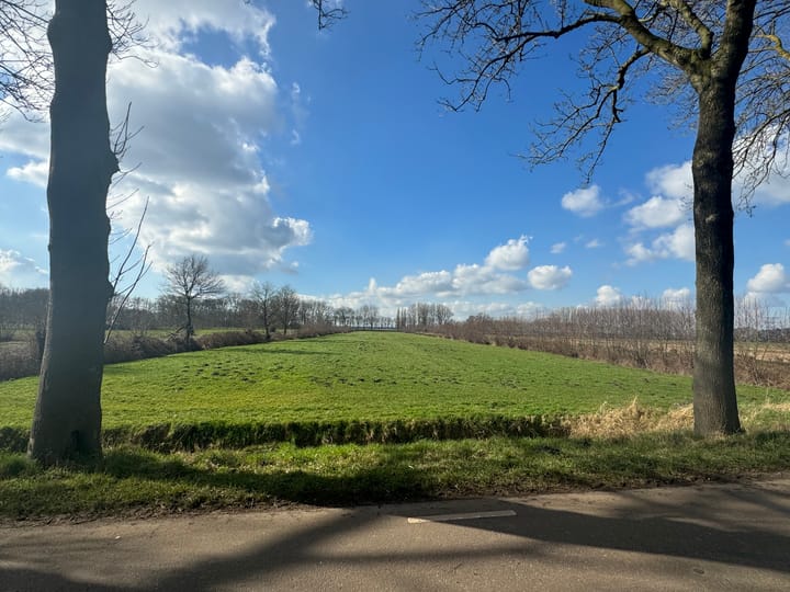 Photo 7 of Wielstraat