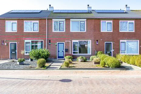 undefined main image