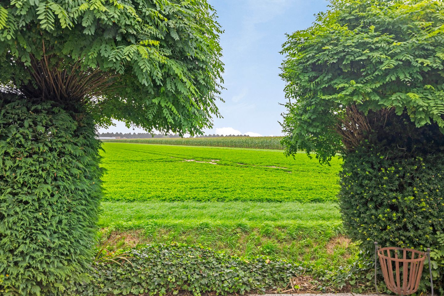 Foto 4 van Noordhoeksedijk 3