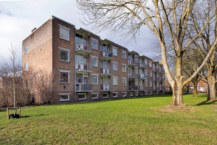 Foto 32 van Gerard Doustraat 17