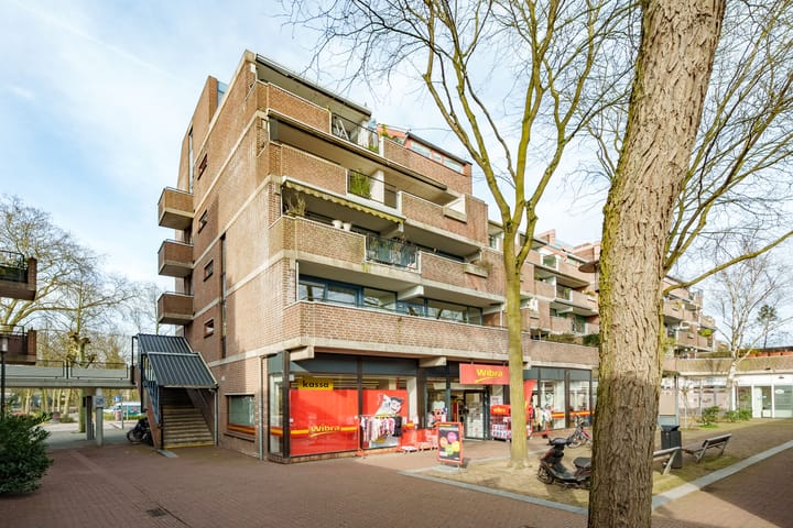 Foto 4 van Plantsoen 156