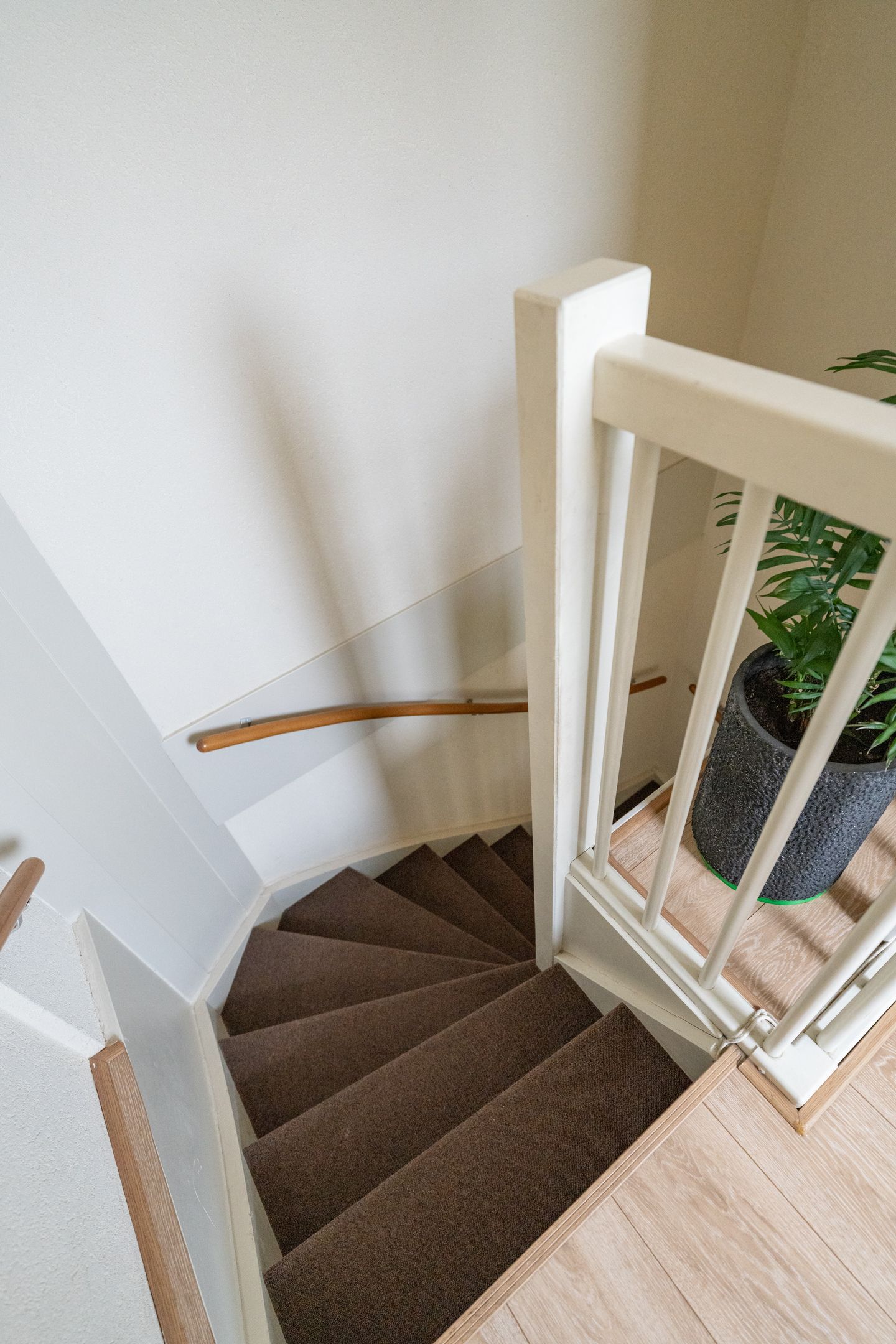 Foto 14 van Osirispad 63