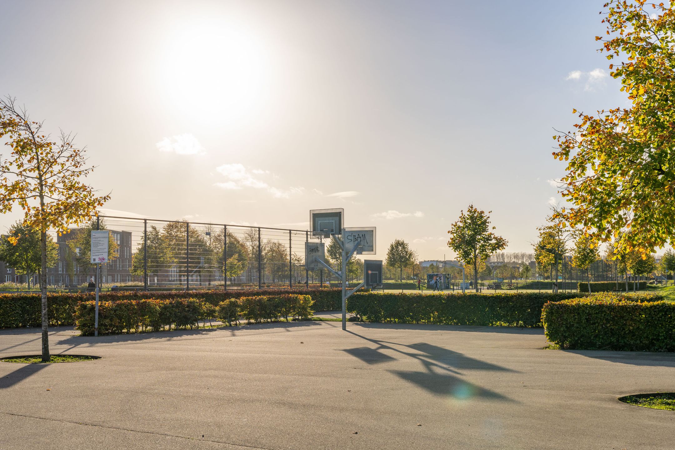 Foto 30 van Osirispad 63