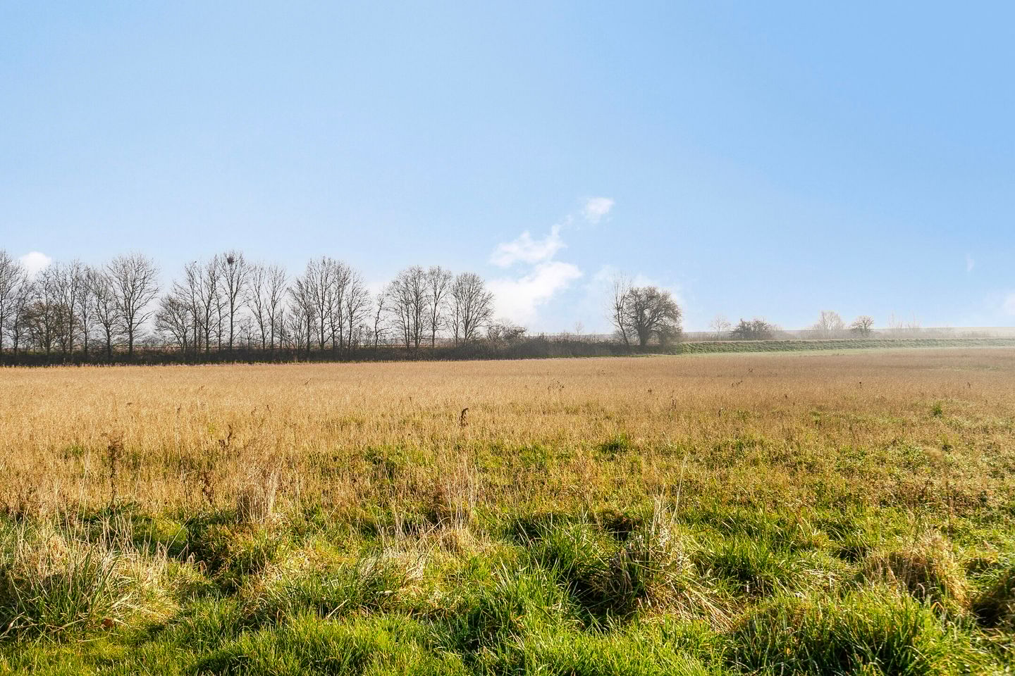 Foto 40 van Donkershoekstraat 21