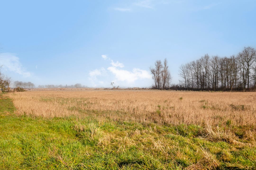 Foto 41 van Donkershoekstraat 21