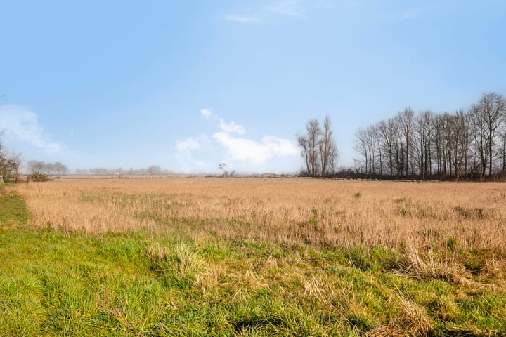 Photo 41 of Donkershoekstraat 21