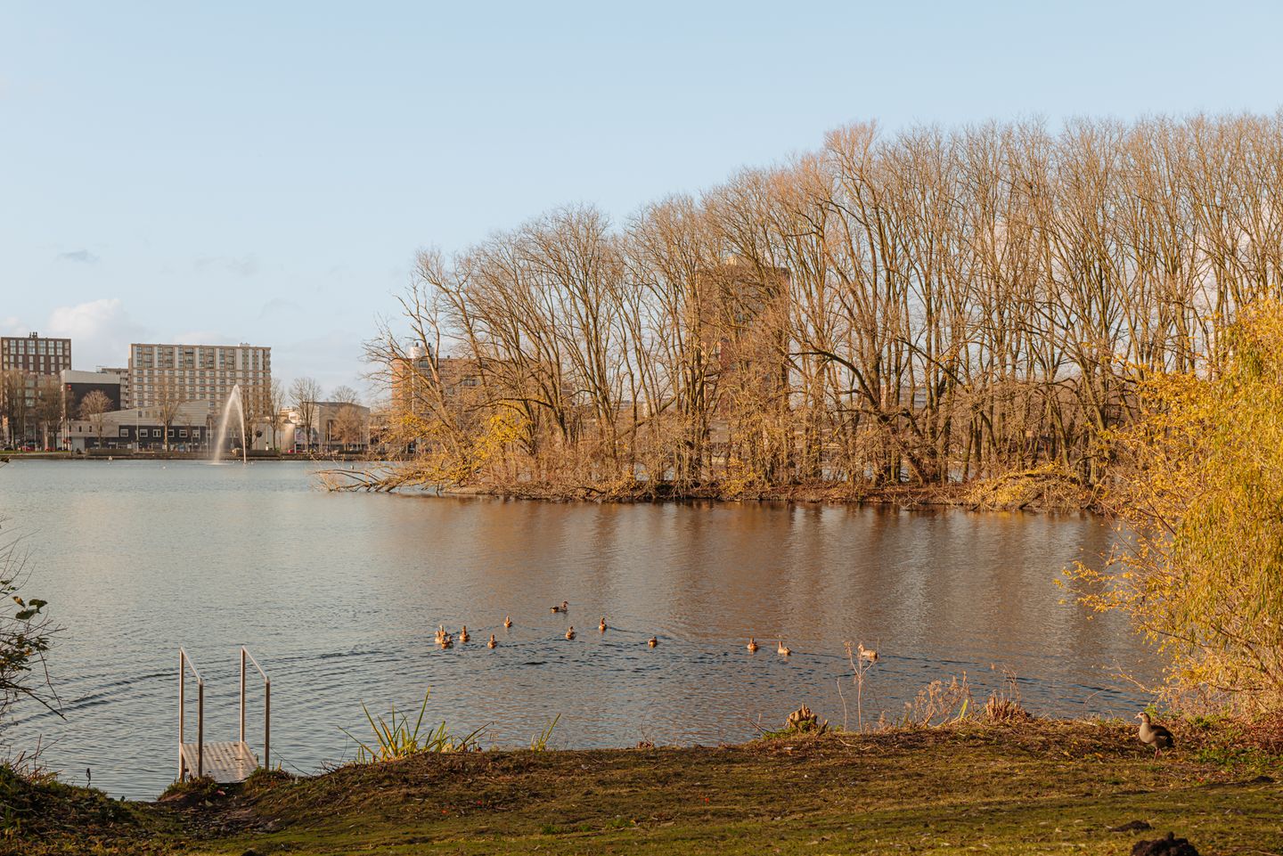 Foto 34 van J. de Koostraat 8