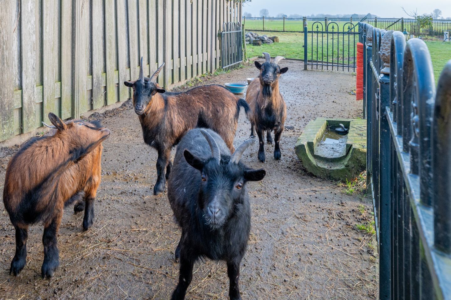 Foto 85 van Tienhovenseweg 15