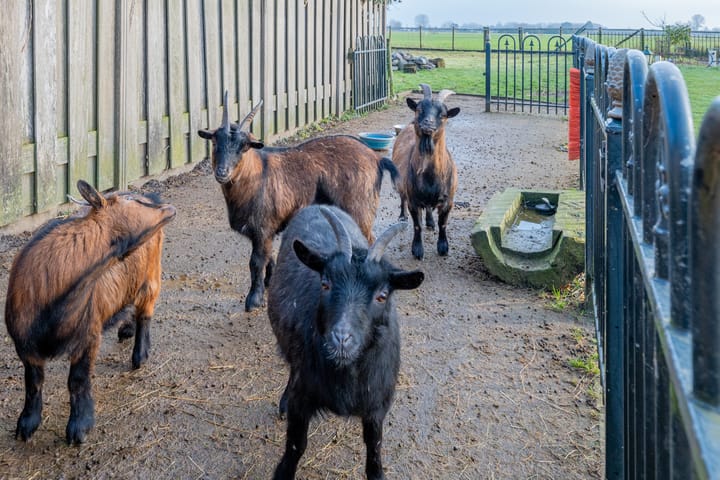 Foto 85 van Tienhovenseweg 15