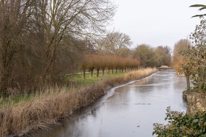 Foto 37 van Weegbree 172