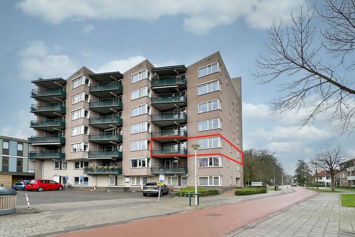 undefined main image