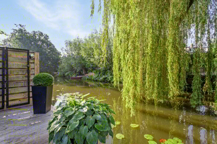 Foto 2 van Rijperwaard 13