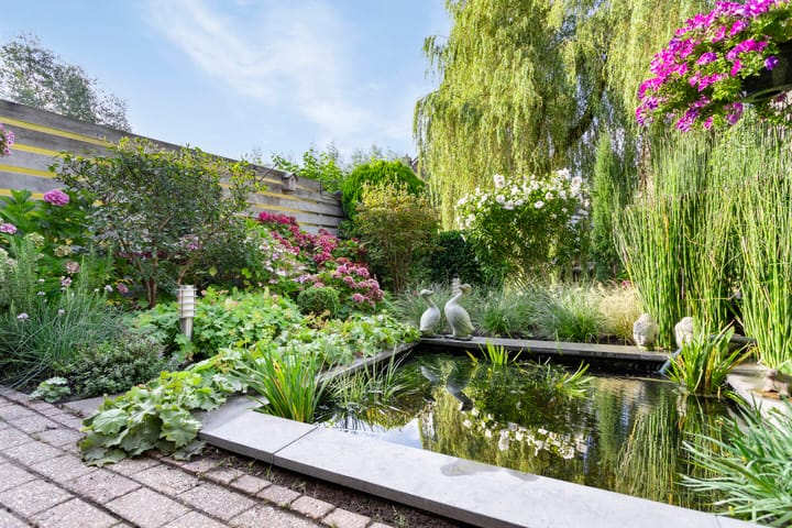 Foto 28 van Rijperwaard 13