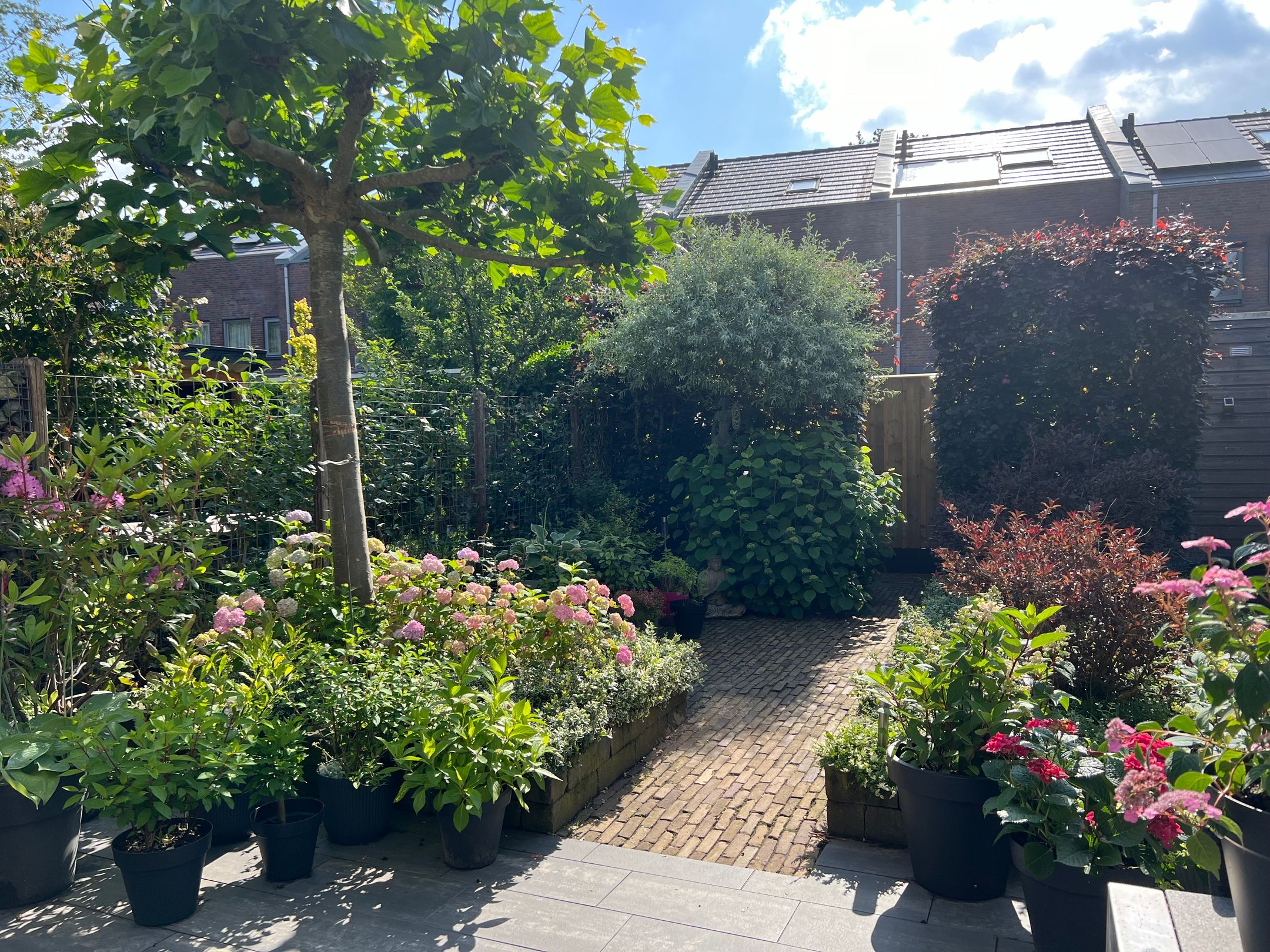 Foto 36 van Afbramerij 22