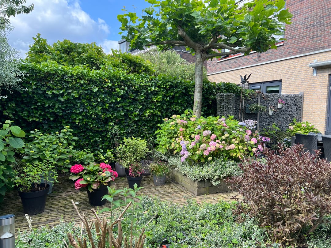 Foto 38 van Afbramerij 22