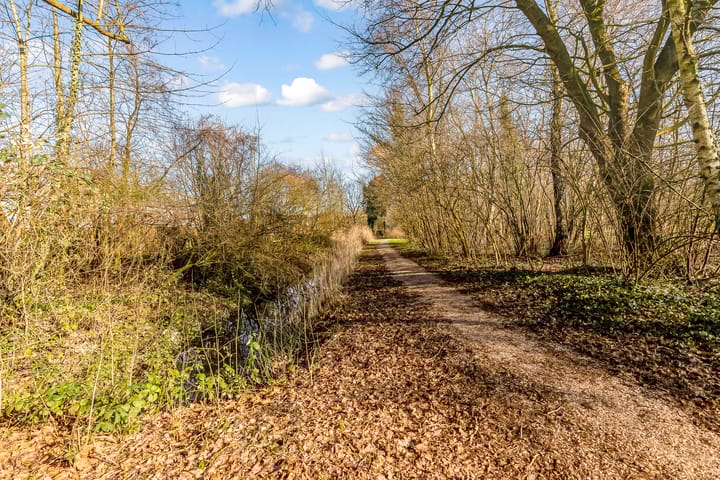 Foto 27 van Sportmark 99