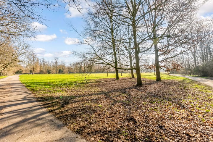 Foto 28 van Sportmark 99