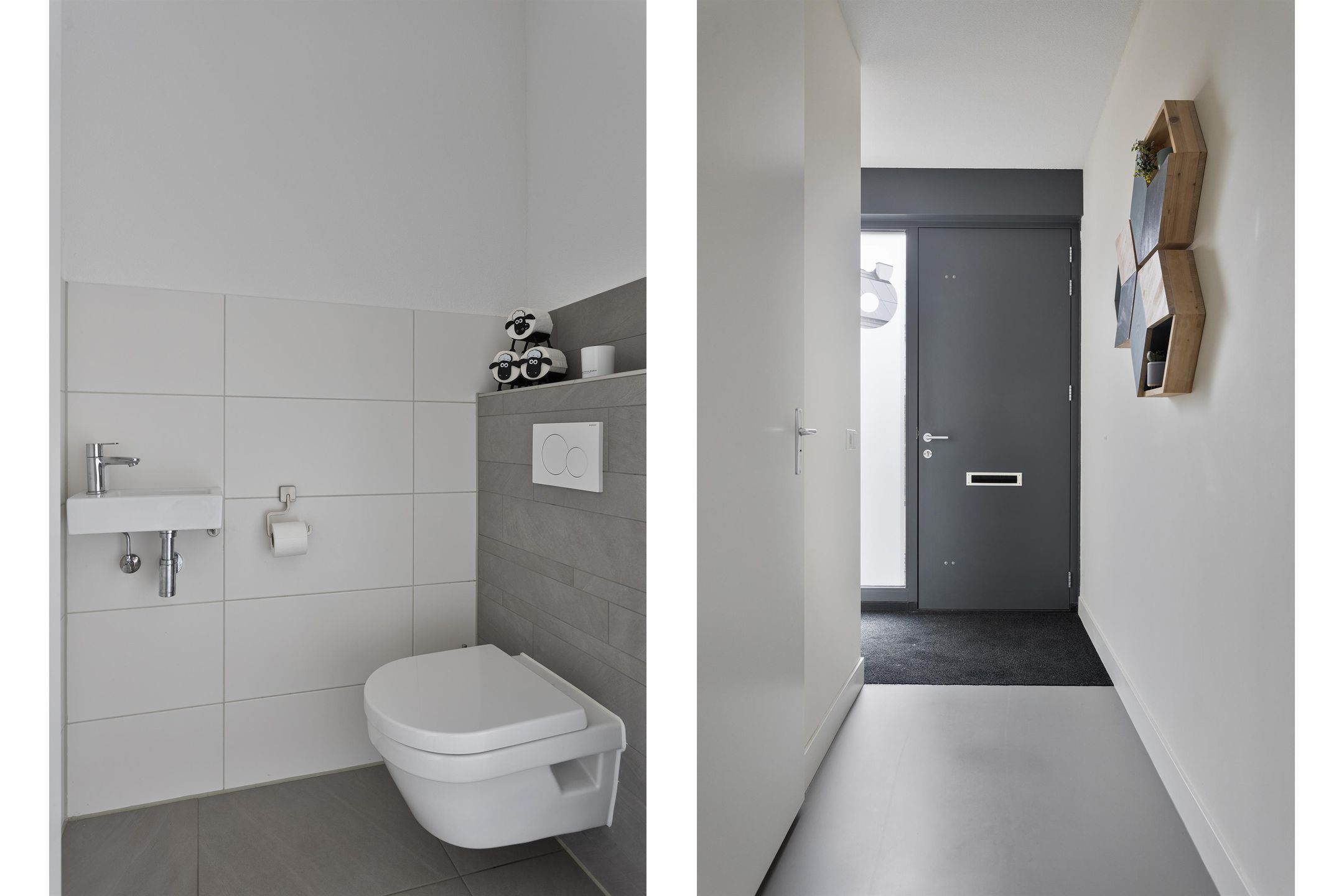 Foto 9 van Oeverzwaluw 8