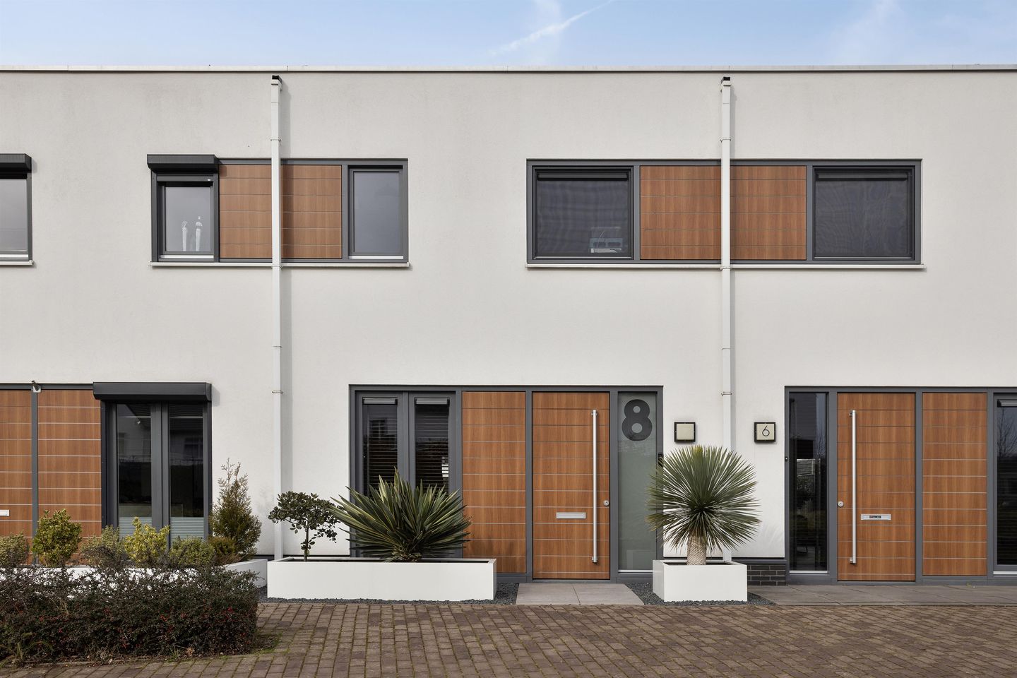 Foto 5 van Oeverzwaluw 8