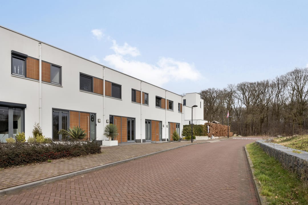 Foto 46 van Oeverzwaluw 8