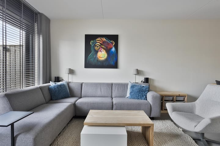 Foto 12 van Oeverzwaluw 8