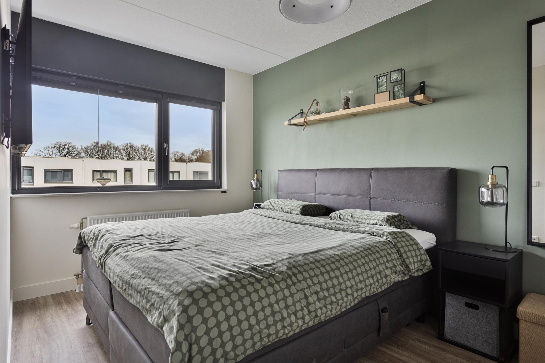 Foto 24 van Oeverzwaluw 8