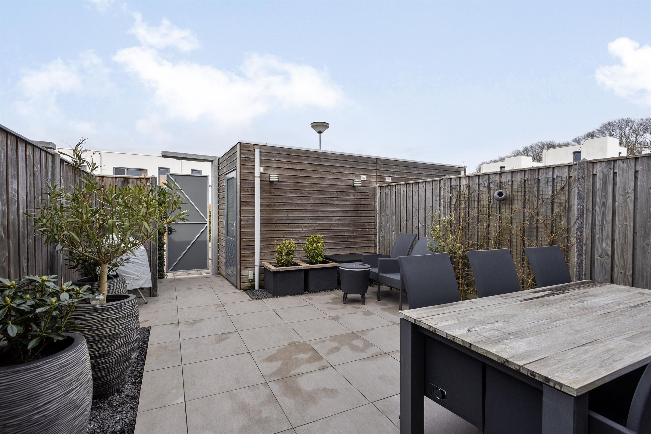 Foto 36 van Oeverzwaluw 8