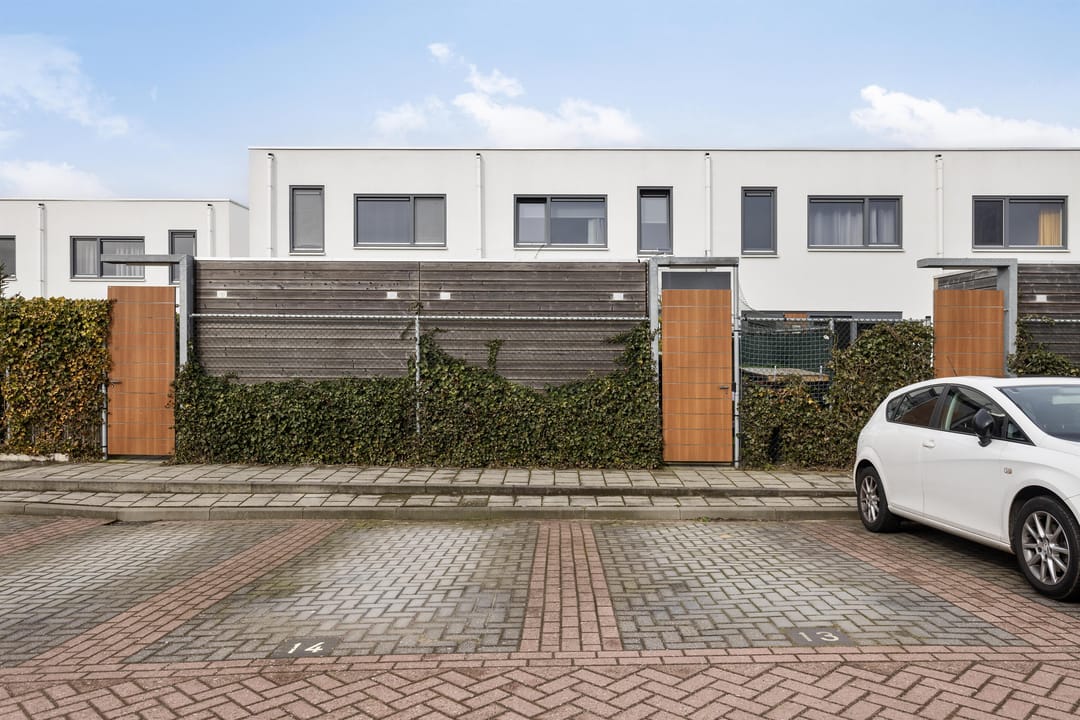 Foto 43 van Oeverzwaluw 8