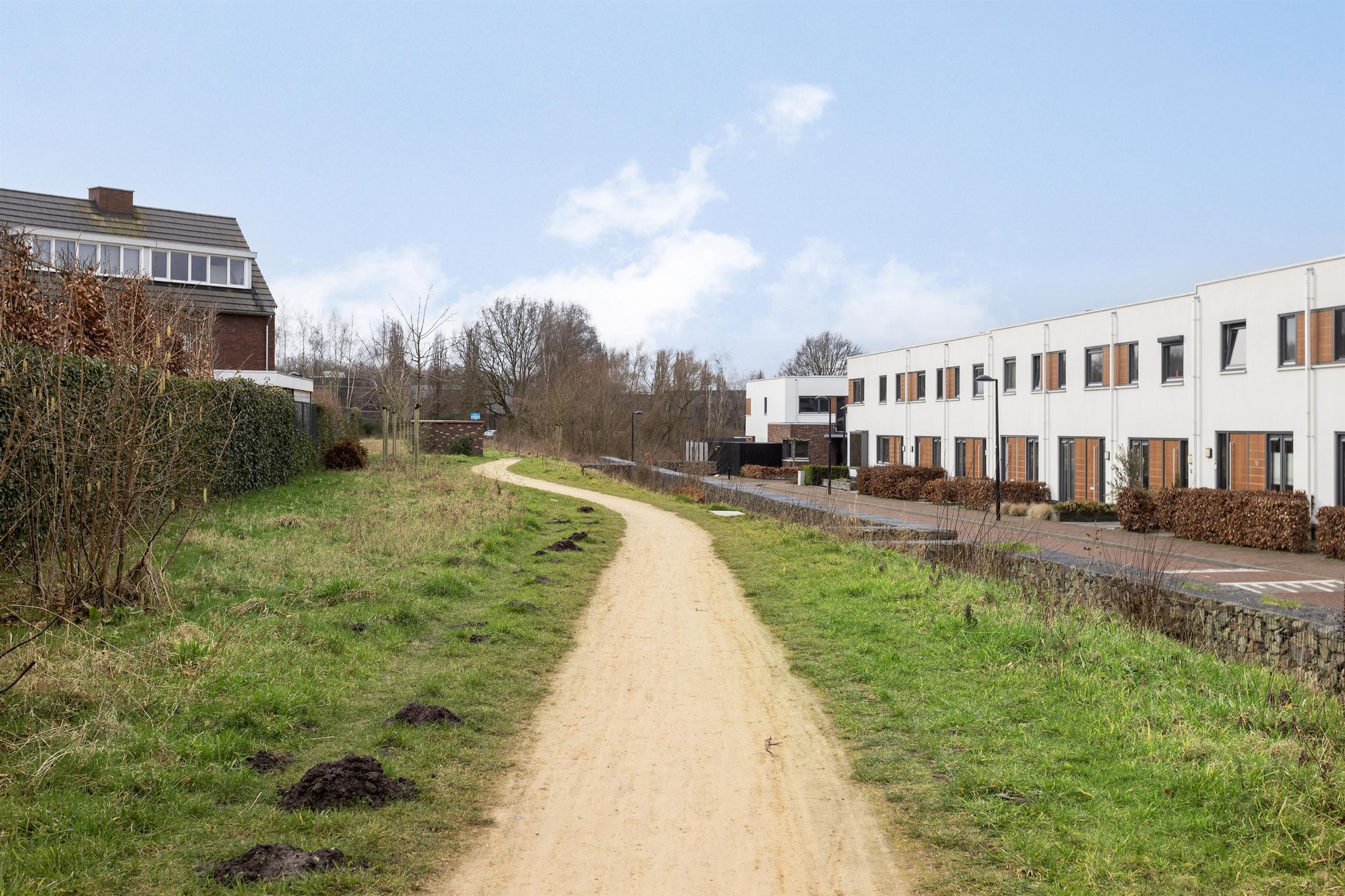 Foto 48 van Oeverzwaluw 8