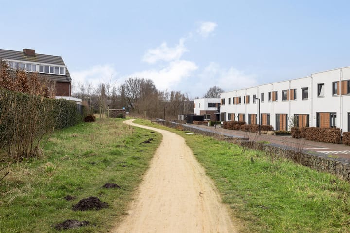 Foto 48 van Oeverzwaluw 8