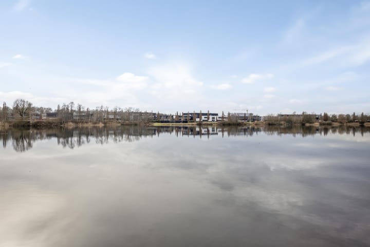 Foto 49 van Oeverzwaluw 8