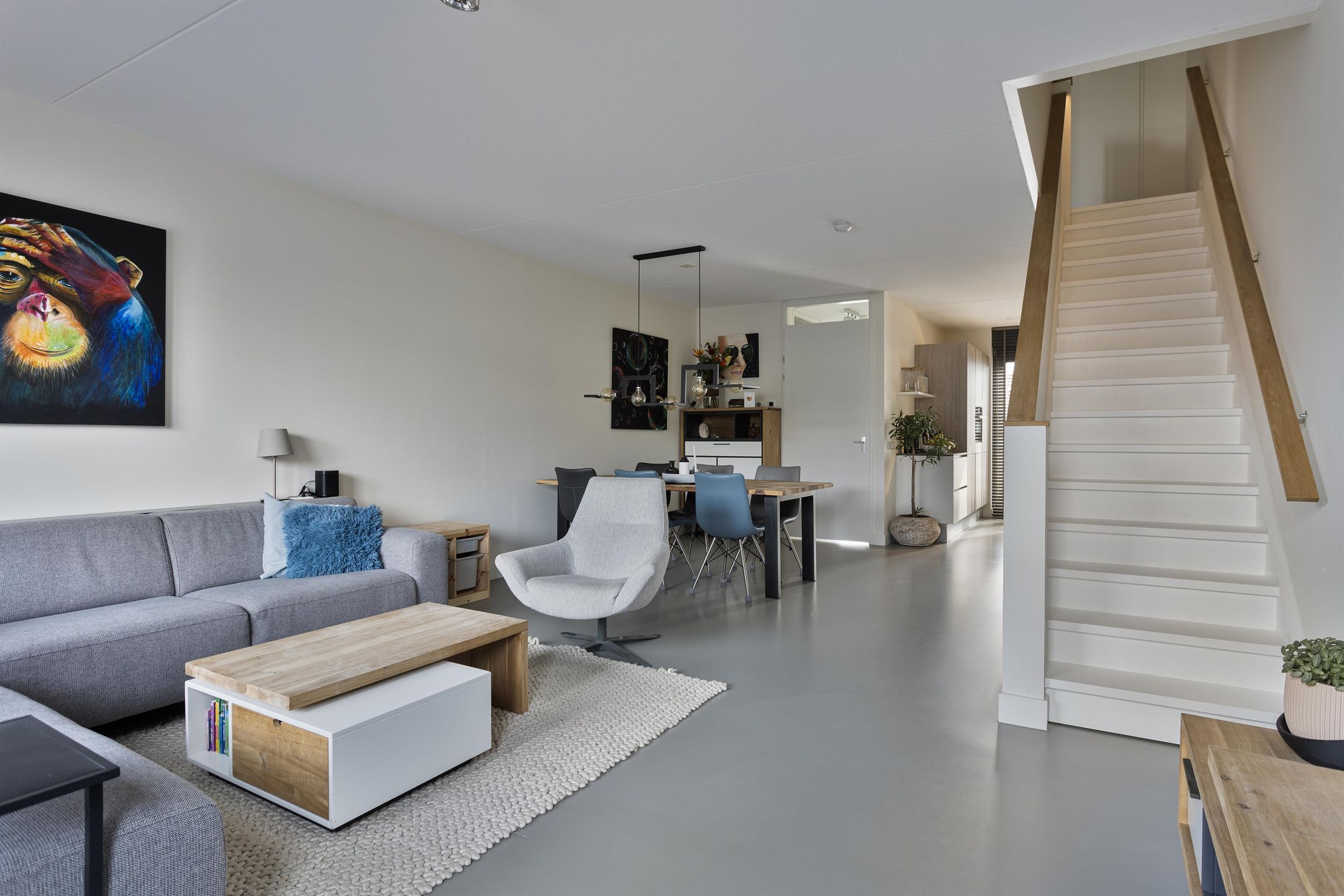 Foto 3 van Oeverzwaluw 8