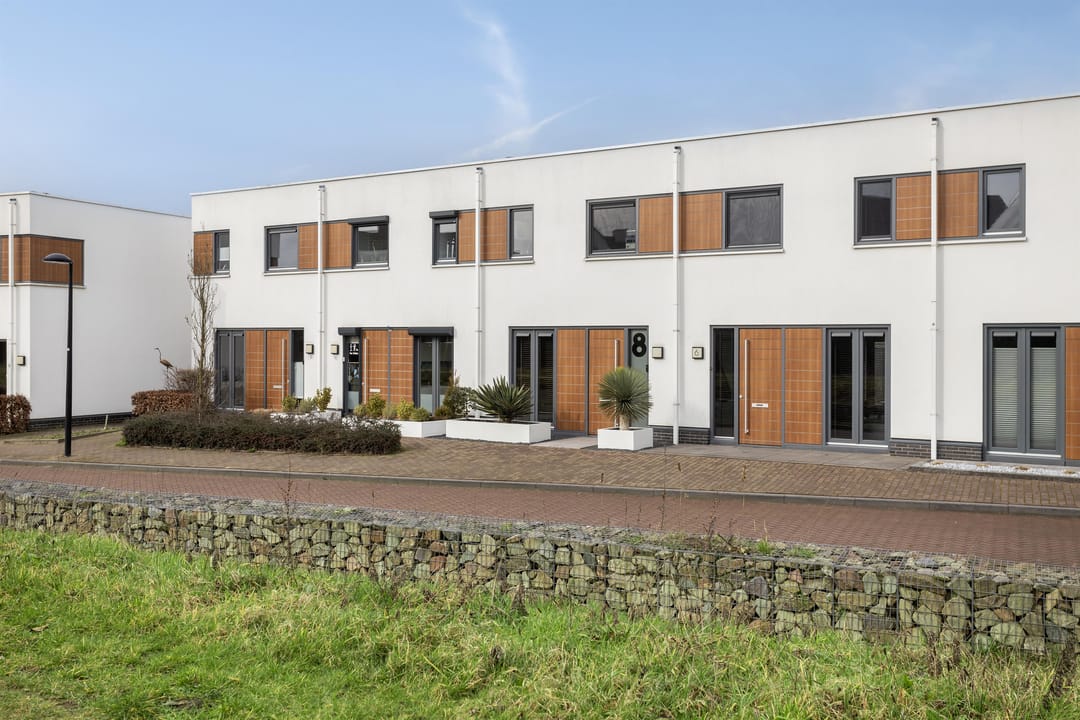 Foto 1 van Oeverzwaluw 8