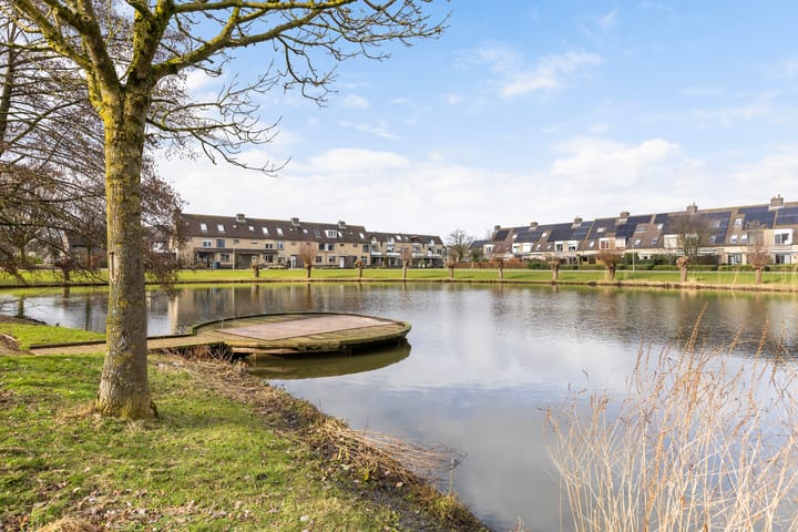 Foto 44 van Henri Dunantlaan 2