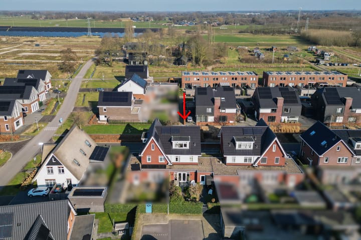 Foto 2 van Honingzwam 27