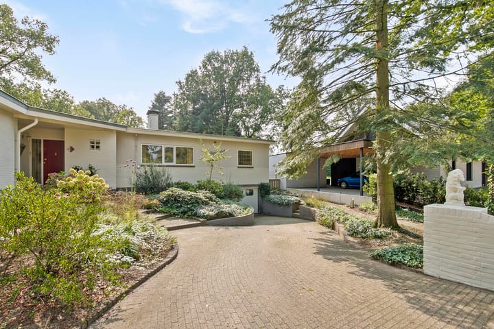 Foto 11 van Wielewaallaan 4