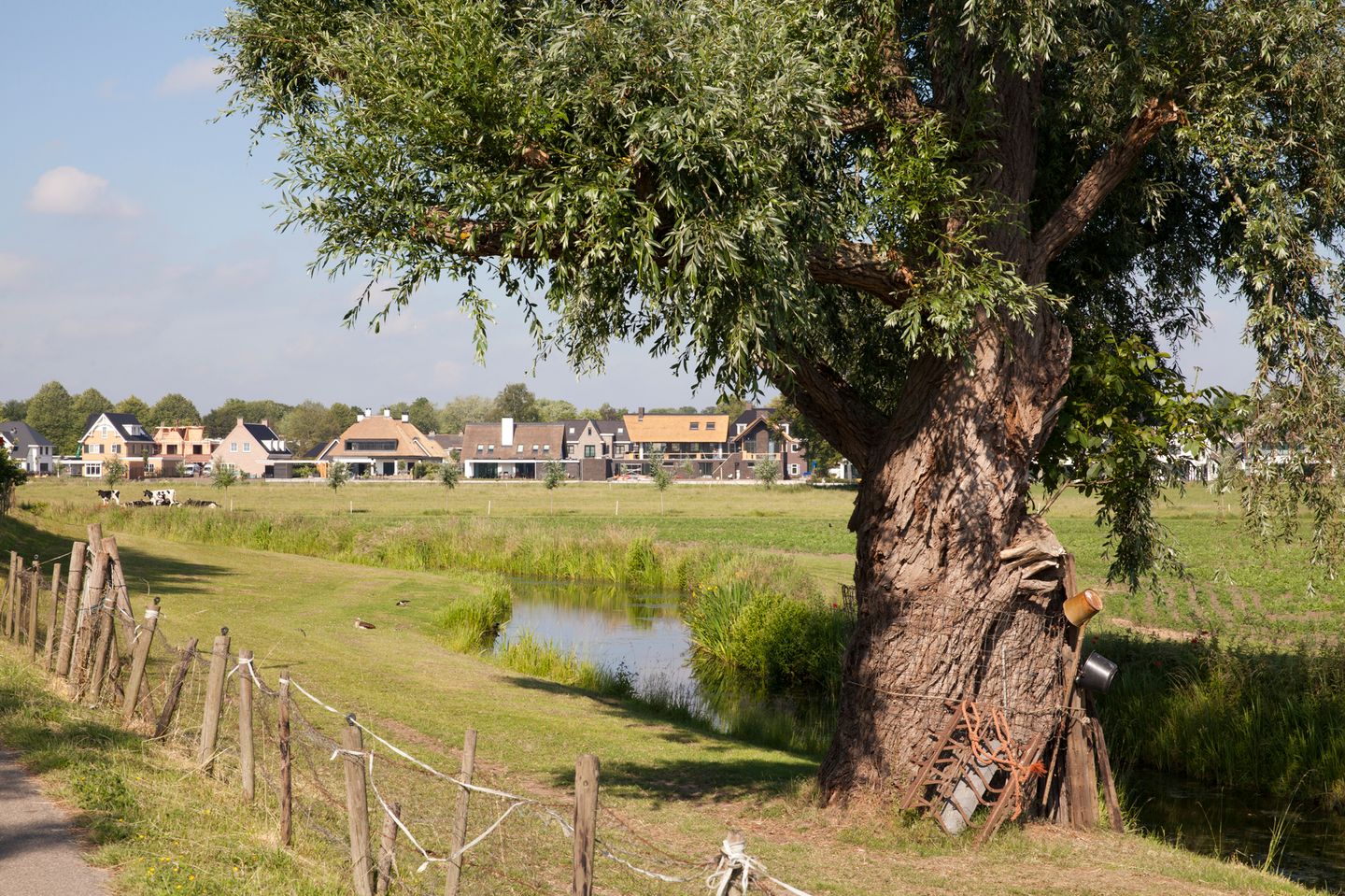 Photo 34 of Gravensingel 167