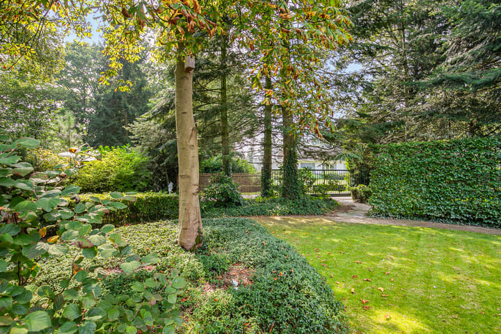 Foto 81 van Wielewaallaan 4