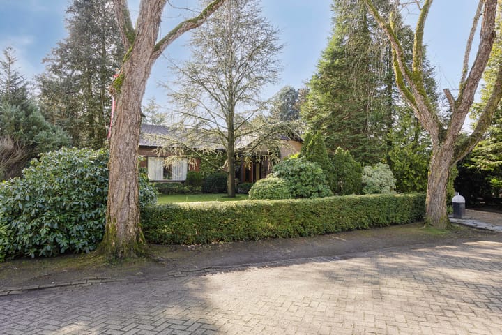 Foto 2 van Dokter Hoekstraat 9