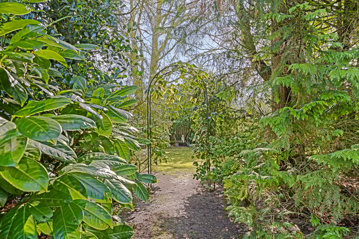 Photo 45 of Dokter Hoekstraat 9