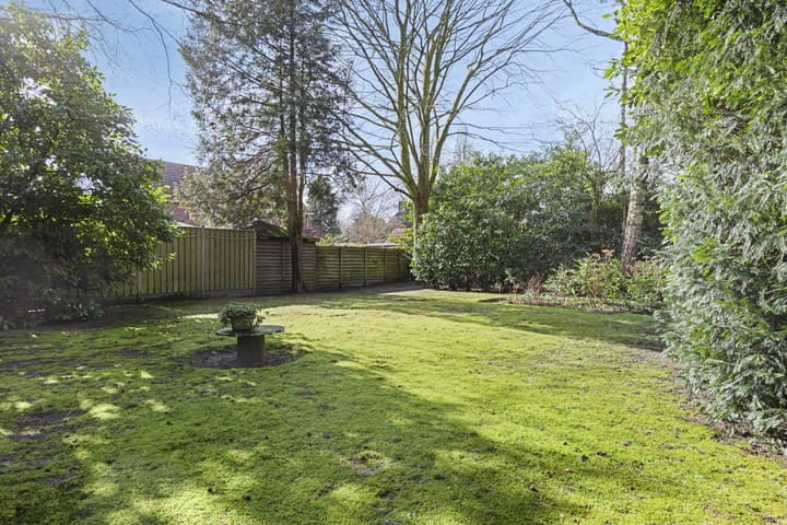 Photo 46 of Dokter Hoekstraat 9